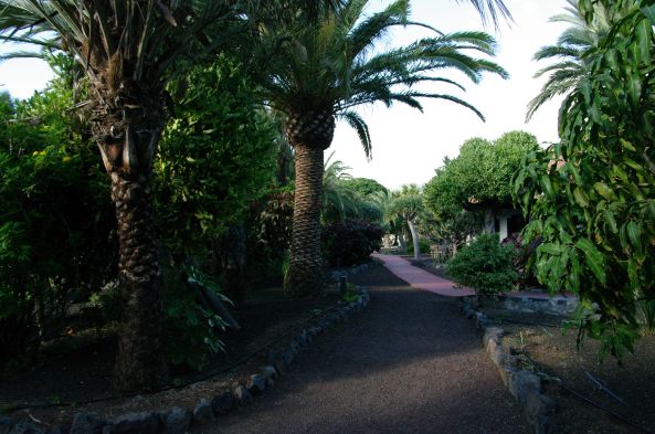13 décembre.  Jp part photographier de jour les jardins du El Parador, le matin de notre départ.