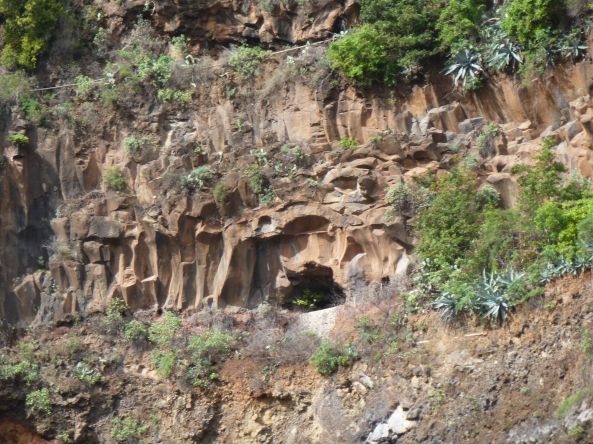 Beau détail de roche, sur la route vers la forêt de Los Tilos