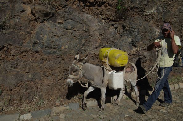 On utilise encore l'âne comme moyen de transport, mais on est moderne au Cap Vert, on parle au cellulaire! C'est pas interdit en conduisant ?.